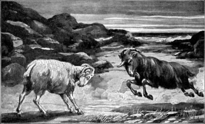 Para40_400_242 Para40_400_242