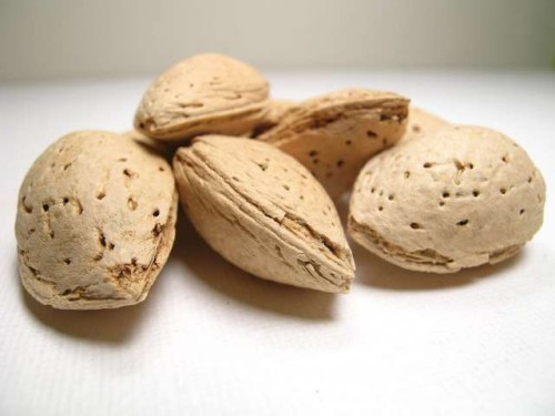 almonds1_500_375