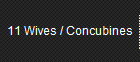 11 Wives / Concubines