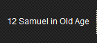 12 Samuel in Old Age
