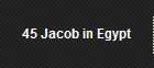 45 Jacob in Egypt