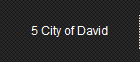 5 City of David