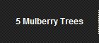 5 Mulberry Trees