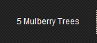 5 Mulberry Trees