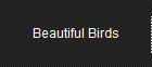 Beautiful Birds