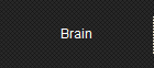 Brain