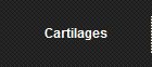 Cartilages