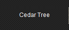 Cedar Tree