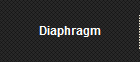 Diaphragm