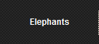 Elephants