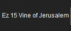 Ez 15 Vine of Jerusalem