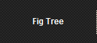 Fig Tree