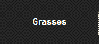 Grasses