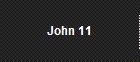 John 11