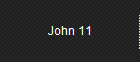 John 11