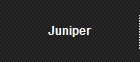 Juniper