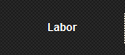 Labor