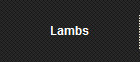 Lambs