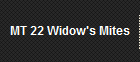 MT 22 Widow's Mites