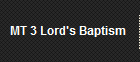 MT 3 Lord's Baptism 