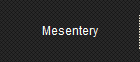 Mesentery