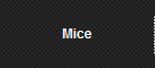 Mice