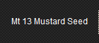 Mt 13 Mustard Seed