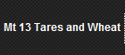 Mt 13 Tares and Wheat