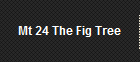 Mt 24 The Fig Tree