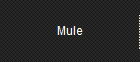 Mule