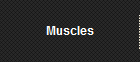 Muscles