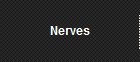 Nerves