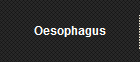 Oesophagus