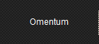 Omentum