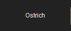 Ostrich