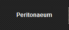 Peritonaeum