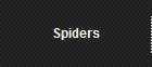 Spiders