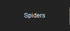 Spiders