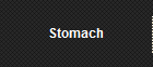 Stomach