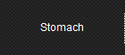 Stomach