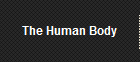 The Human Body