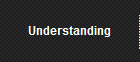 Understanding