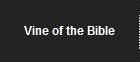 Vine of the Bible