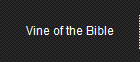 Vine of the Bible