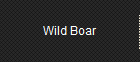 Wild Boar