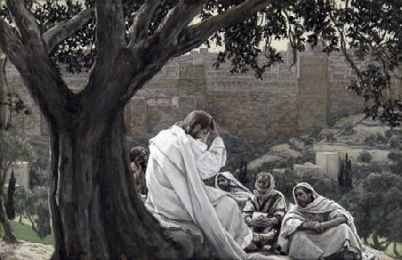 PPd123_500_323 PPd123_500_323