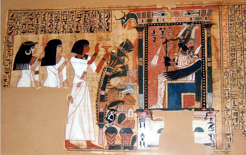 papyrus75 papyrus75